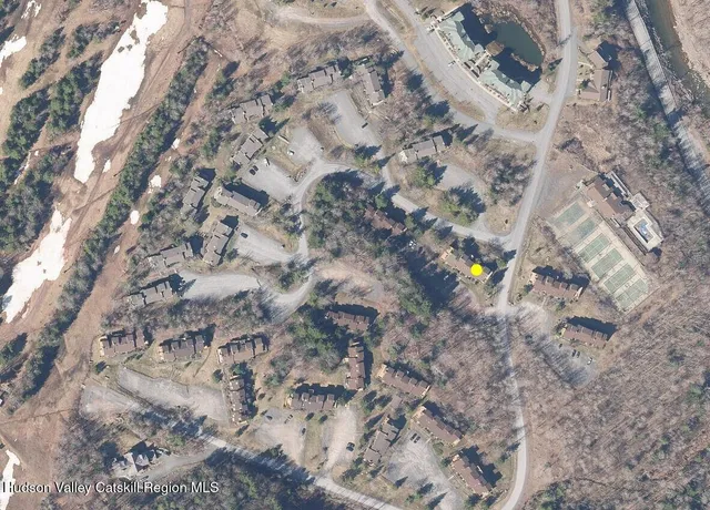 a view of a forest with a tree