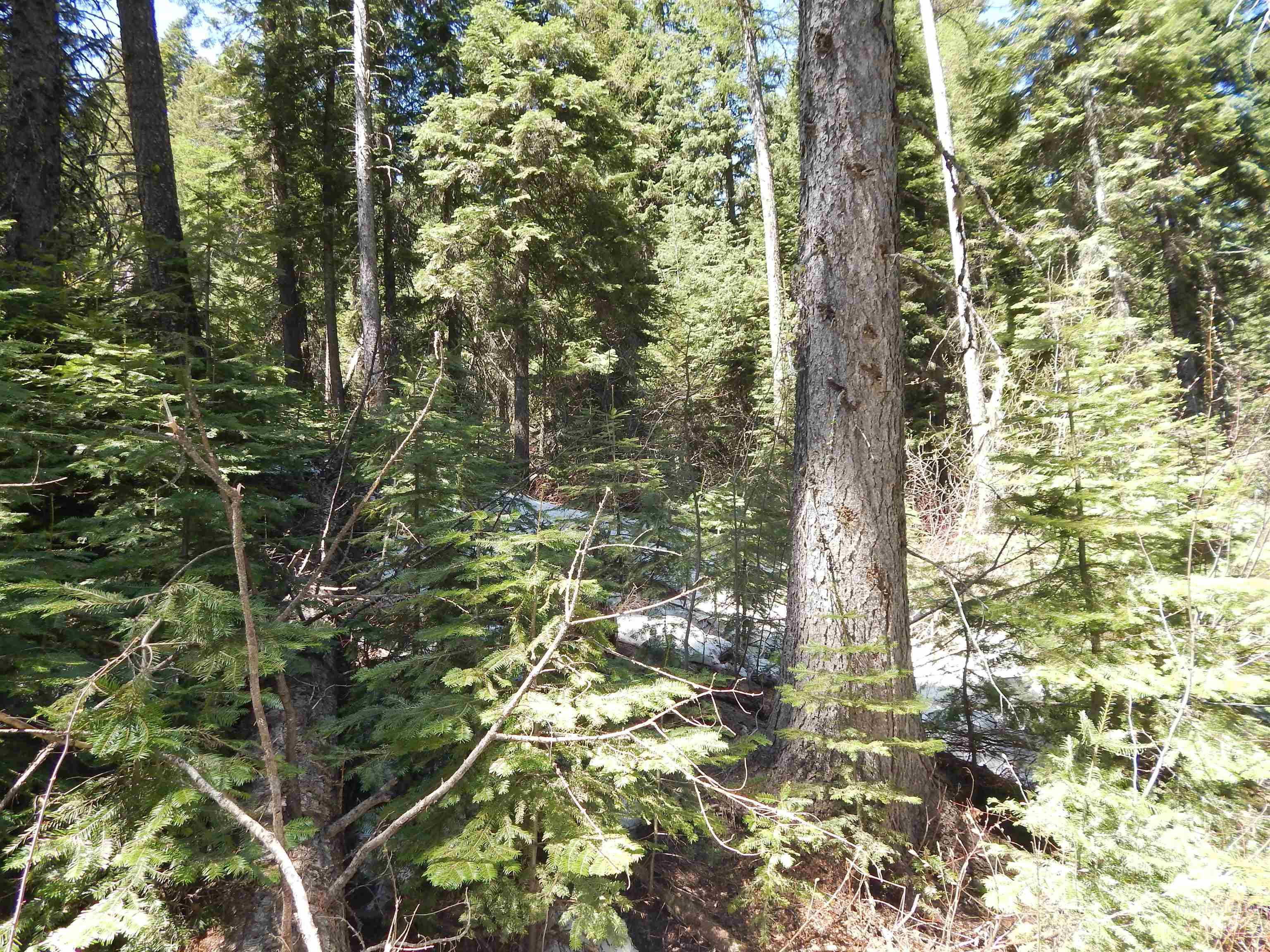 1601 Bear Trail Loop Cascade, ID 83611 - Photo 18 of 26