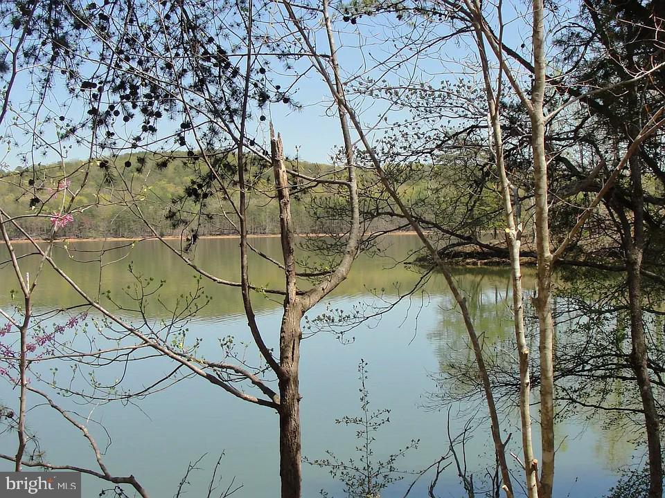 1180 Runaway Bay Road Lynch Station, VA 24571 - Photo 2 of 14 a picture of a tree