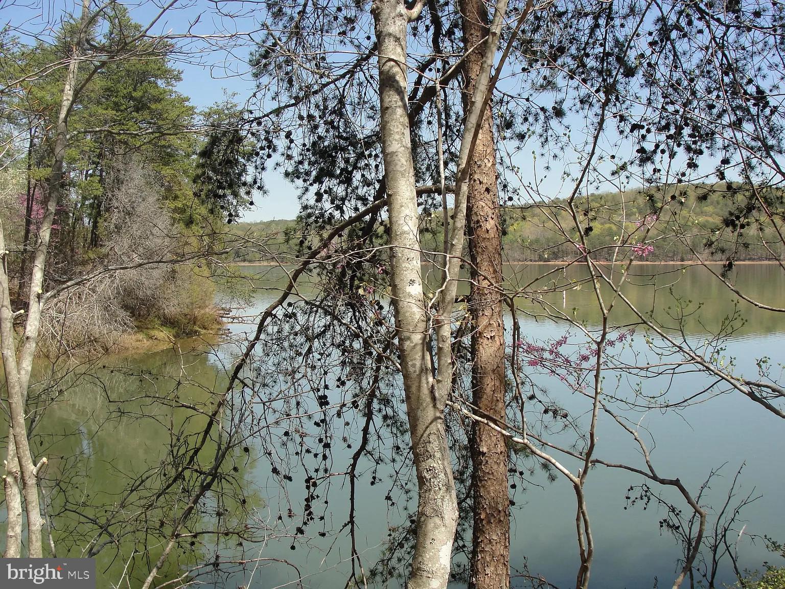 1180 Runaway Bay Road Lynch Station, VA 24571 - Photo 3 of 14 a view of swimming pool