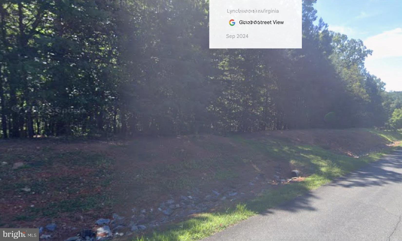 1180 Runaway Bay Road Lynch Station, VA 24571 - Photo 5 of 14 a view of a dry yard