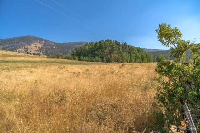 a view of a yard with a yard