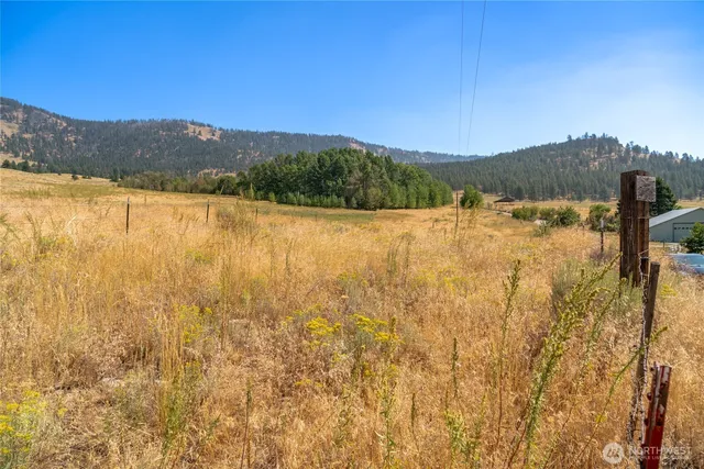 $29,900 | 111 Fritz Road, Riverside, WA 98849