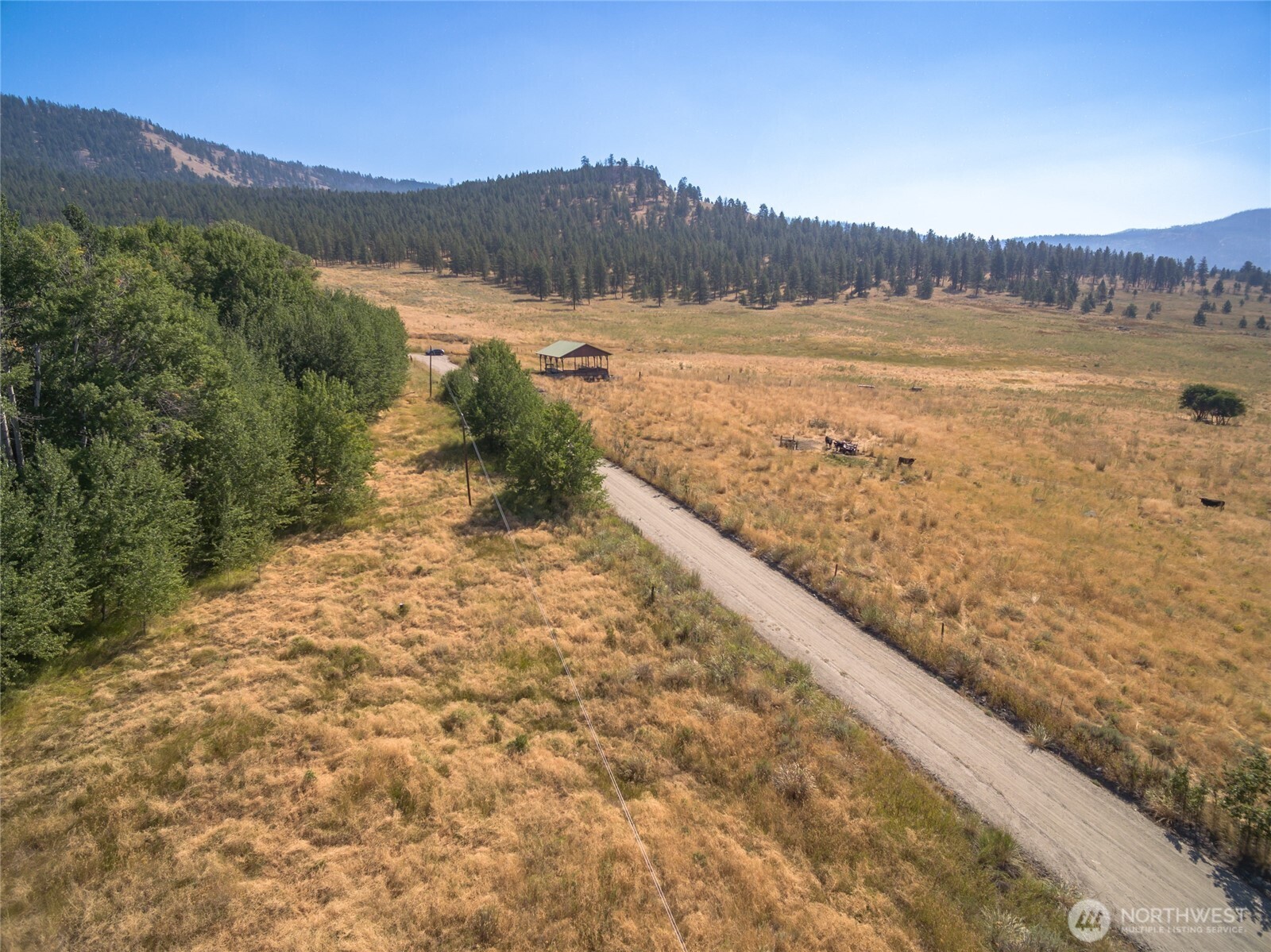 111 Fritz Road Riverside, WA 98849 - Photo 5 of 11 a view of lake and mountain