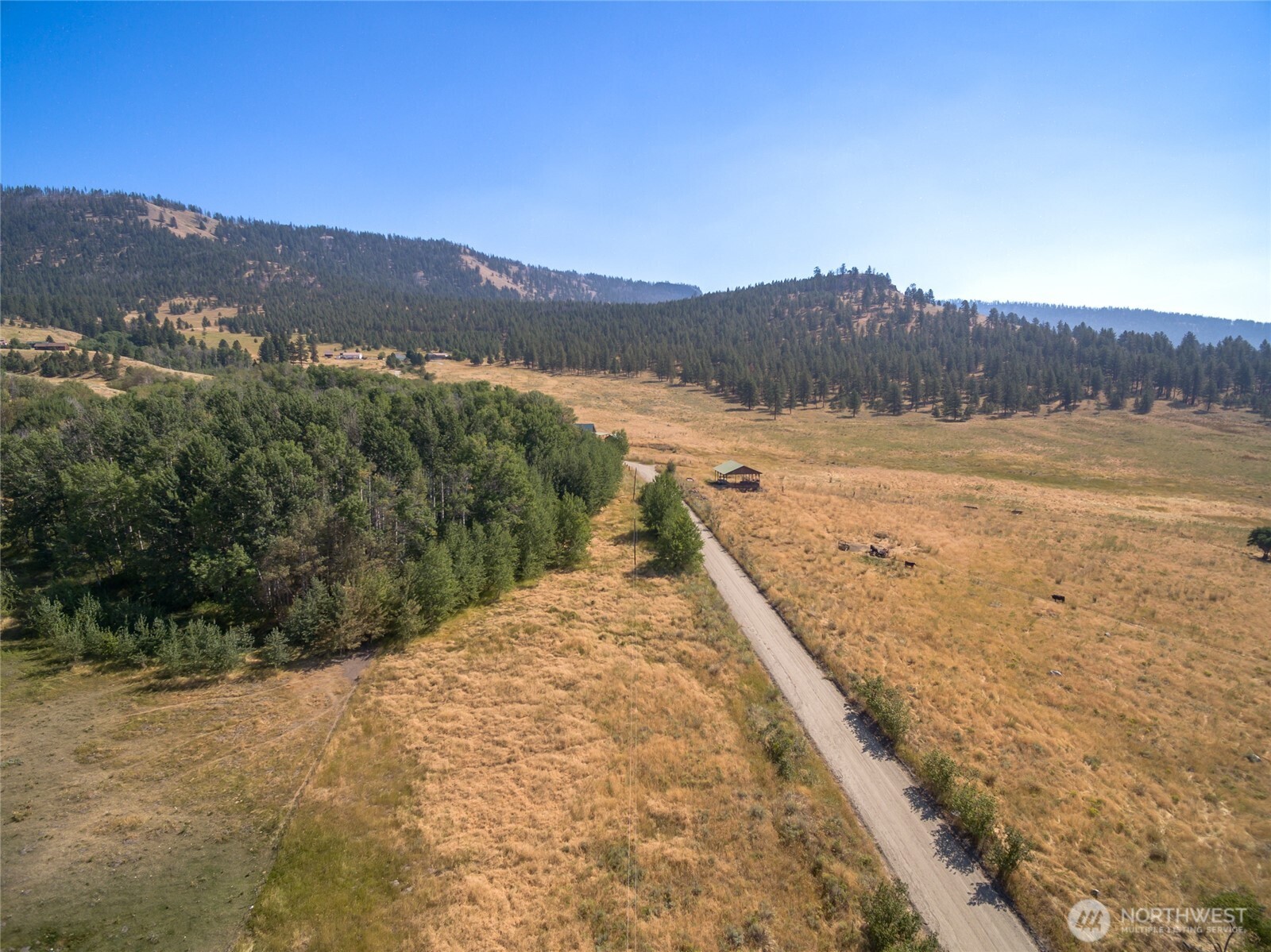 111 Fritz Road Riverside, WA 98849 - Photo 7 of 11 a view of a dry yard with mountain