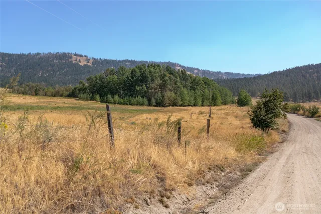 a view of a yard with an ocean beach