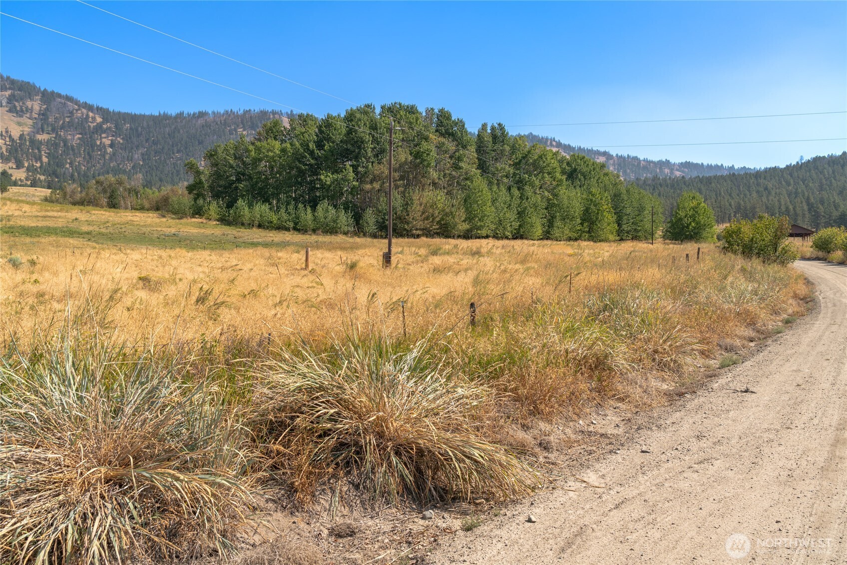111 Fritz Road Riverside, WA 98849 - Photo 10 of 11 a view of a yard with an ocean beach