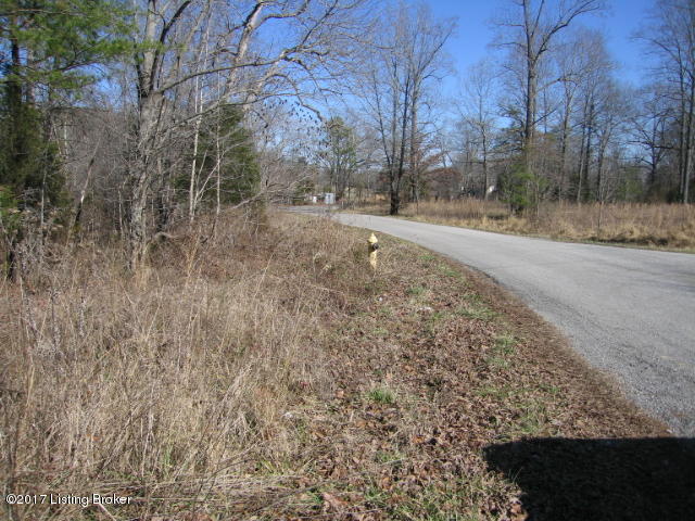 479 Pryor Valley Road Shepherdsville, KY 40165 - Photo 1 of 6 City Water
