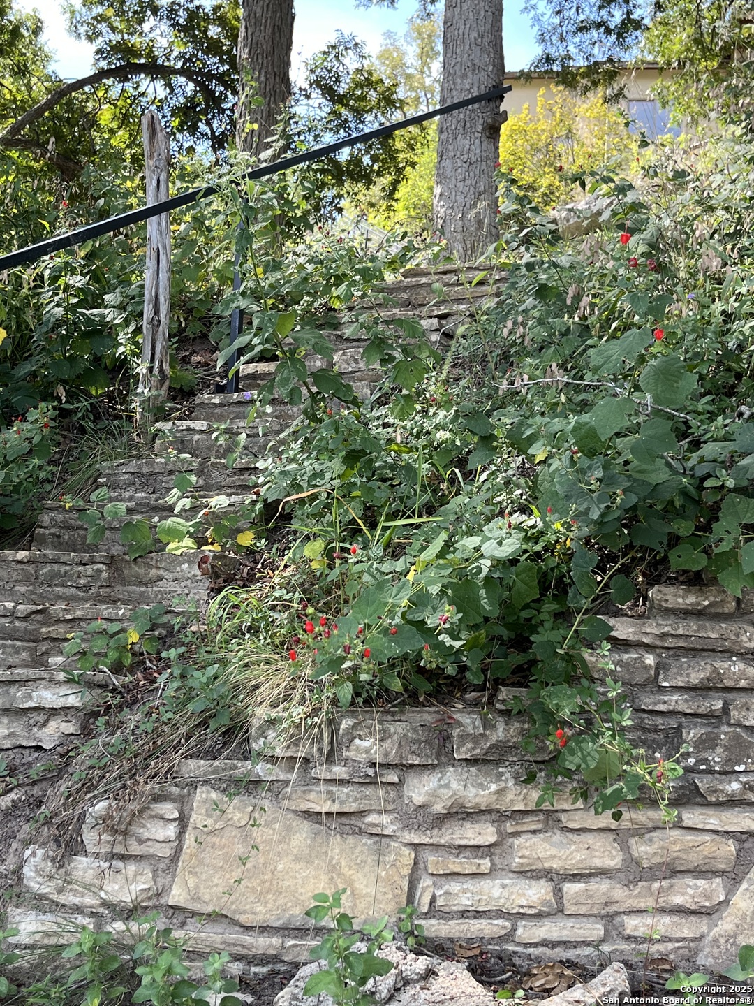 412 Field Road Fischer, TX 78623 - Photo 37 of 42 a view of a yard