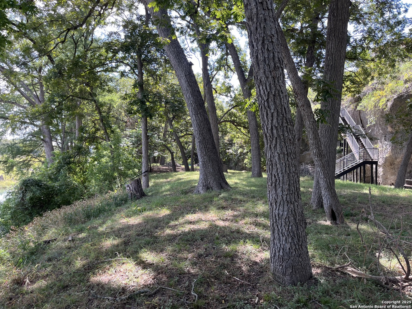 412 Field Road Fischer, TX 78623 - Photo 42 of 42 a view of a trees in a yard