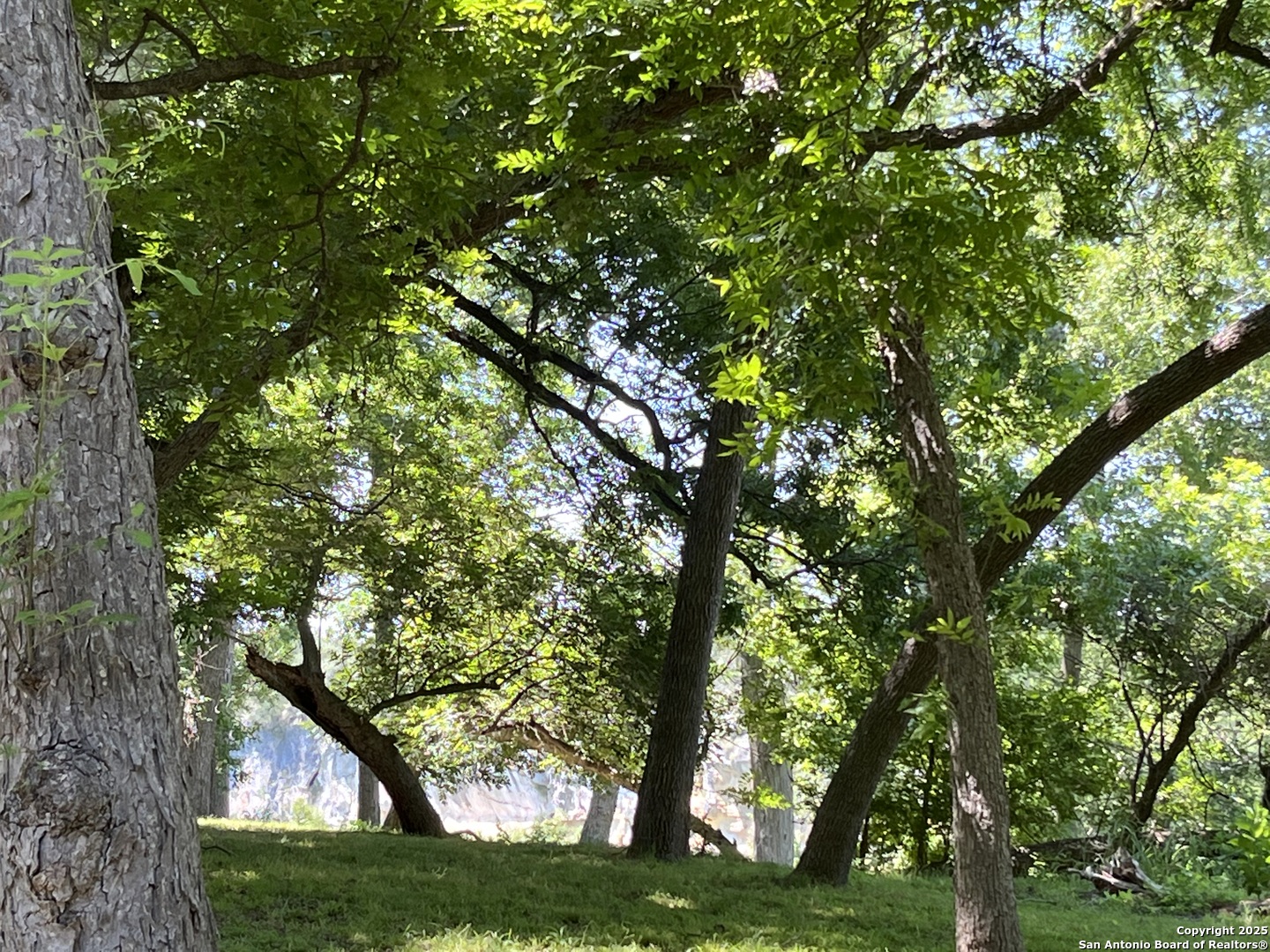 412 Field Road Fischer, TX 78623 - Photo 8 of 42