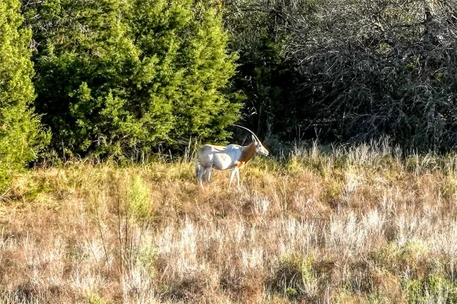 a view of an ocean and beach