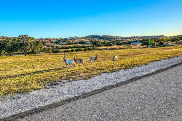 a view of yard with swimming pool and trees