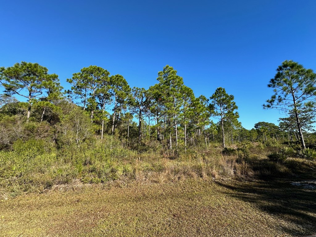 Parcel3 A Houston Road Eastpoint, FL 32328 - Photo 2 of 5