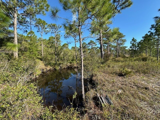 Parcel3 A Houston Road Eastpoint, FL 32328 - Photo 3 of 5