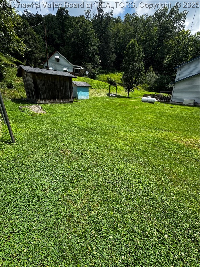 1198 Caney Branch Road Chapmanville, WV 25508 - Photo 49 of 50 Gallery Image 49