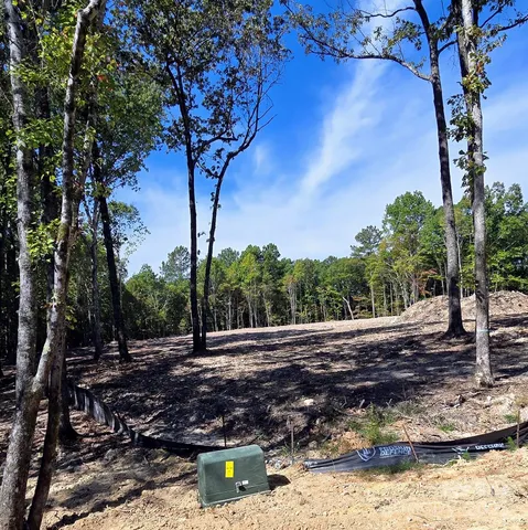 a view of a tree in a yard