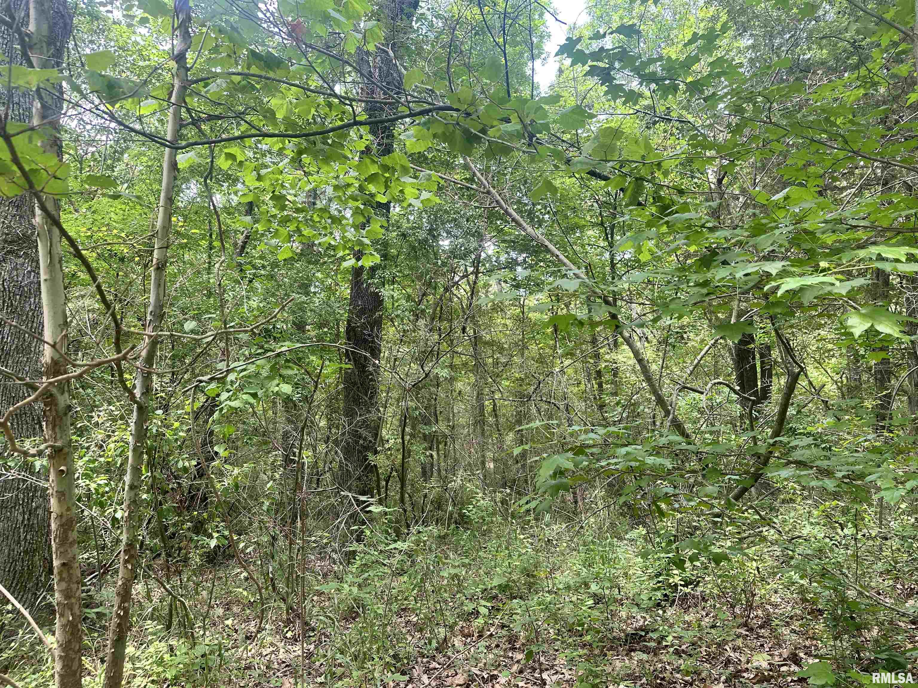 0 Knob Creek Road Carbondale, IL 62903 - Photo 2 of 16