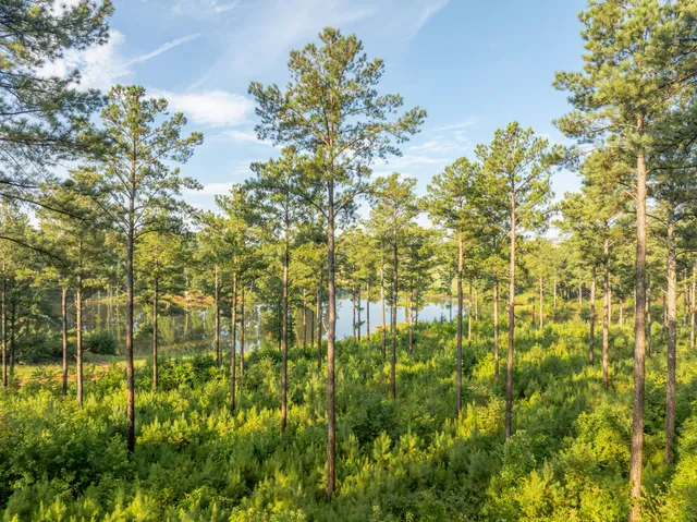 $5,250,000 | 1129 Farmersville Road, Summerville, GA 30747