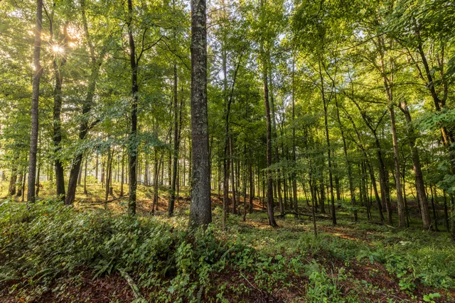 $5,250,000 | 1129 Farmersville Road, Summerville, GA 30747