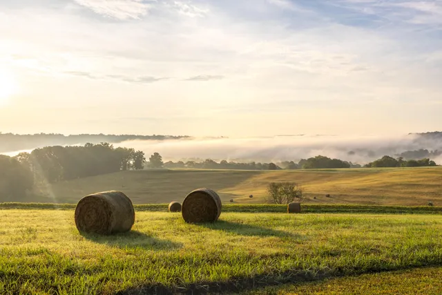 $5,250,000 | 1129 Farmersville Road, Summerville, GA 30747