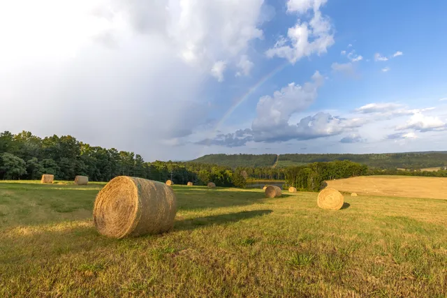 $5,250,000 | 1129 Farmersville Road, Summerville, GA 30747