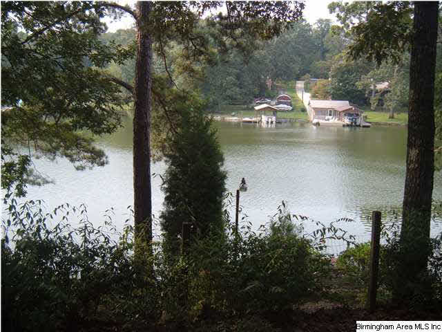 424 Coosa Island Road Cropwell, AL 35054 - Photo 21 of 22
