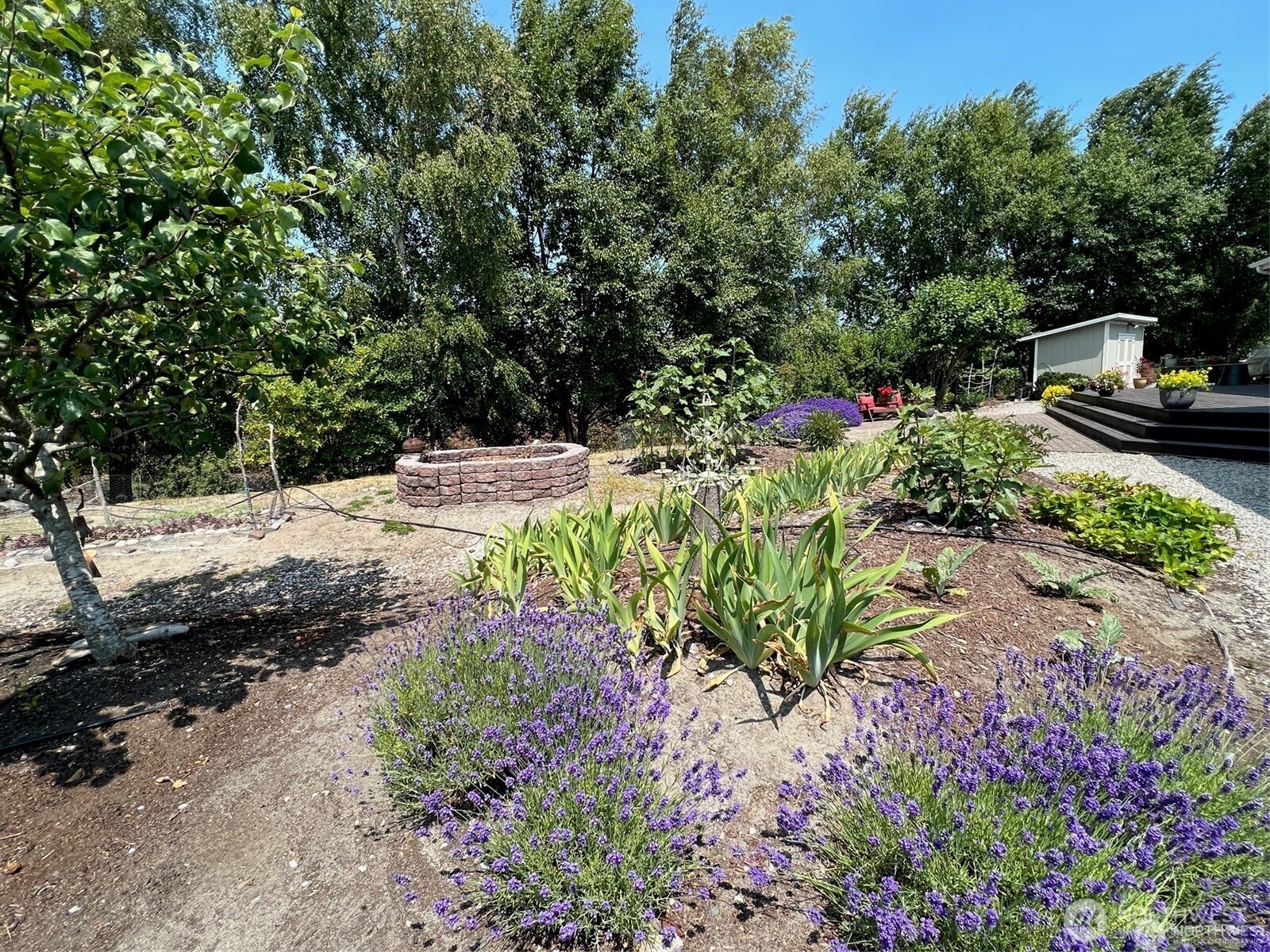 1561 Ocean View Lane Point Roberts, WA 98281 - Photo 30 of 38 Gallery Image 30