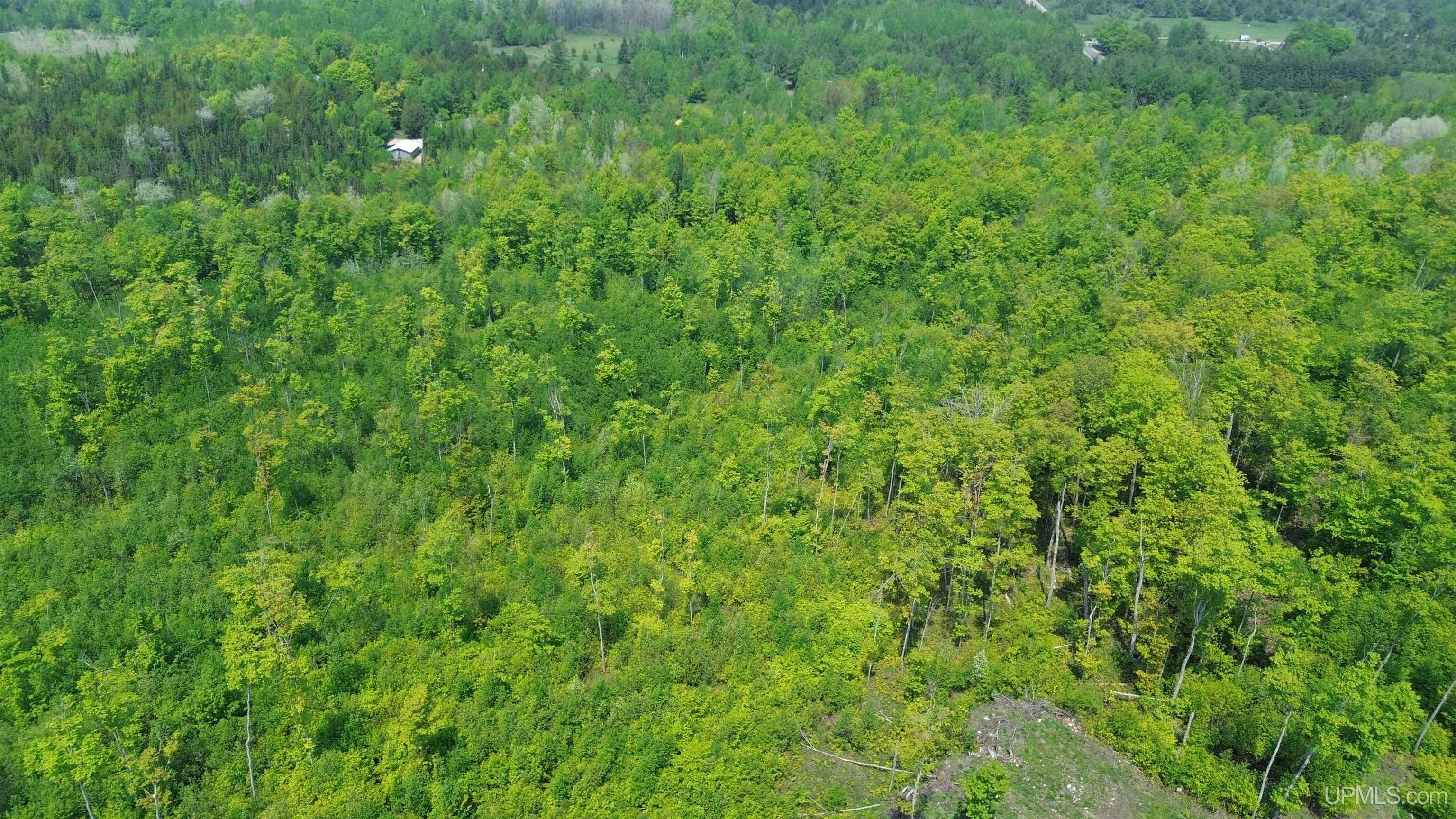 2493 Letson Road Gulliver, MI 49840 - Photo 6 of 56