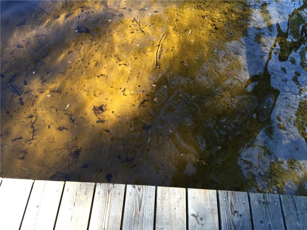 66 Shore Road Standish, ME 04084 - Photo 19 of 34 Photo