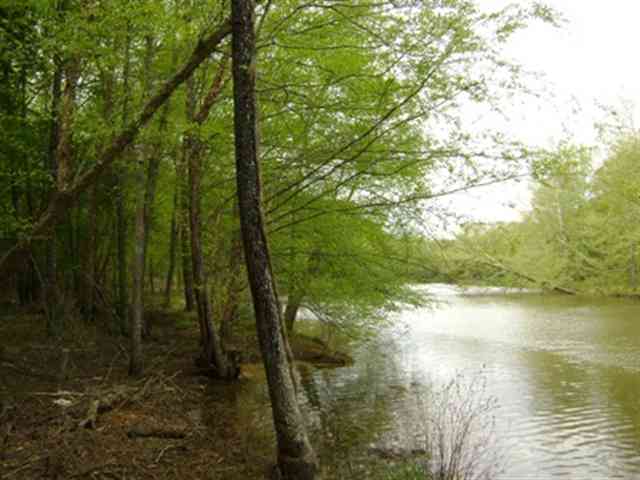 75-acres Mellrich Road Anderson, SC 29621 - Photo 1 of 3 Gallery Image 1
