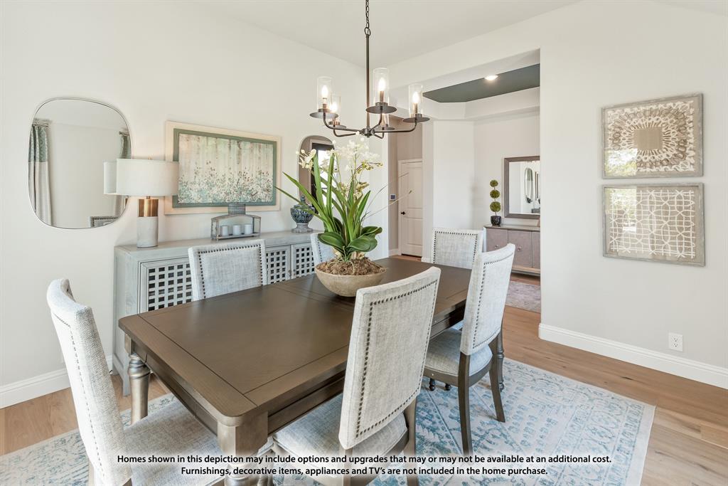 828 Blue Fescue Road Justin, TX 76247 - Photo 7 of 39 Gallery Image 7