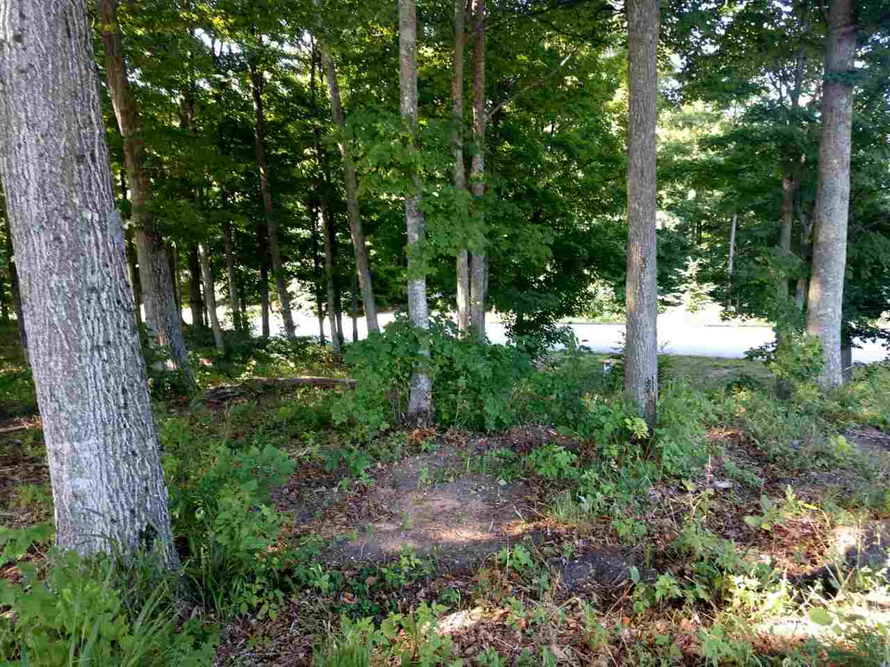 1 Heather Ridge Trail Beulah, MI 49617 - Photo 5 of 9