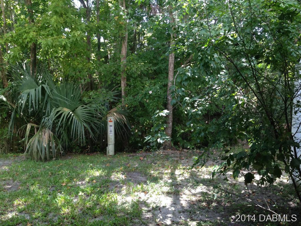 1503 Deer Springs Road Port Orange, FL 32129 - Photo 15 of 18 Additional Photo
