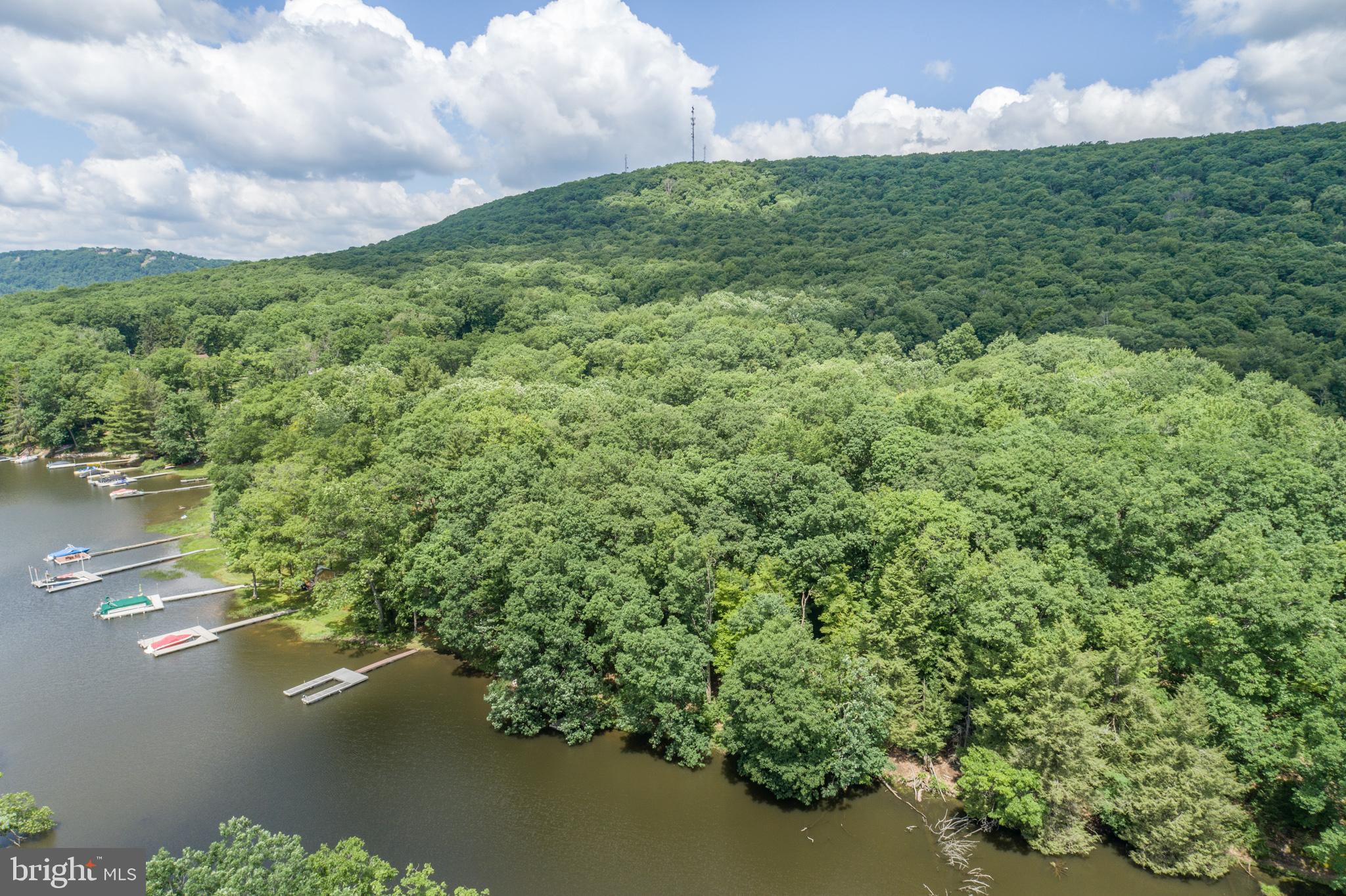 509 Brant Road Swanton, MD 21561 - Photo 20 of 21 a view of a lake from a yard