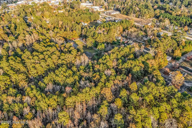 $325,000 | 0 Woodrow Street, Tabor City, NC 28463