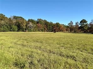 225 Highway 116 Loop Livingston, TX 77351 - Photo 14 of 30