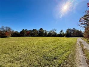 225 Highway 116 Loop Livingston, TX 77351 - Photo 15 of 30