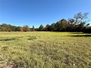 225 Highway 116 Loop Livingston, TX 77351 - Photo 17 of 30