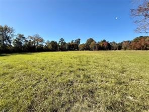 225 Highway 116 Loop Livingston, TX 77351 - Photo 19 of 30