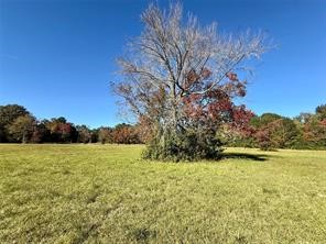 225 Highway 116 Loop Livingston, TX 77351 - Photo 20 of 30