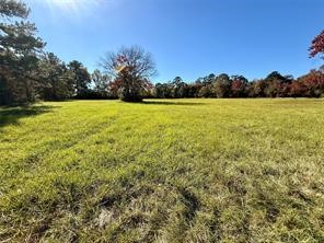 225 Highway 116 Loop Livingston, TX 77351 - Photo 22 of 30