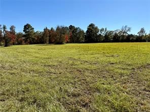 225 Highway 116 Loop Livingston, TX 77351 - Photo 23 of 30