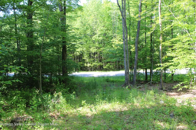 $349,000 | 380 Terrace Drive, Lexington, NY 12468