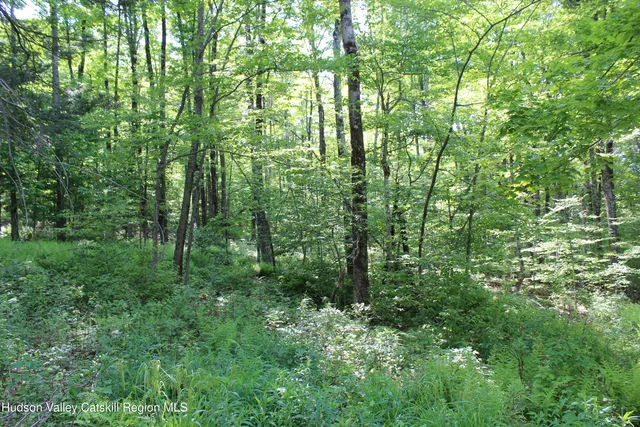 $349,000 | 380 Terrace Drive, Lexington, NY 12468