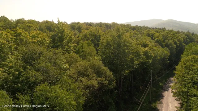 $349,000 | 380 Terrace Drive, Lexington, NY 12468