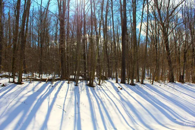 $349,000 | 380 Terrace Drive, Lexington, NY 12468