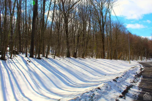 $349,000 | 380 Terrace Drive, Lexington, NY 12468