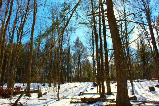 $349,000 | 380 Terrace Drive, Lexington, NY 12468