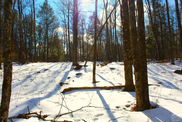 $349,000 | 380 Terrace Drive, Lexington, NY 12468